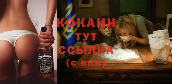 молекула духа Белокуриха