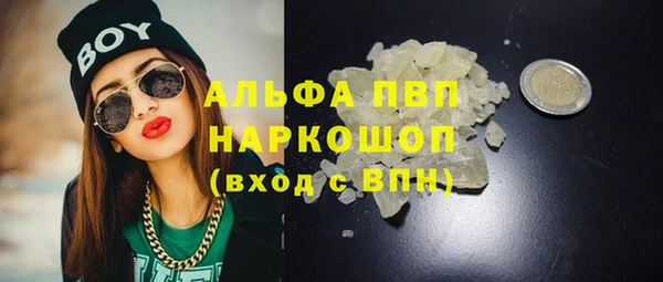 стаф Белоозёрский