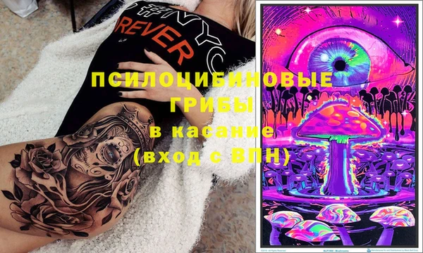 стаф Белоозёрский