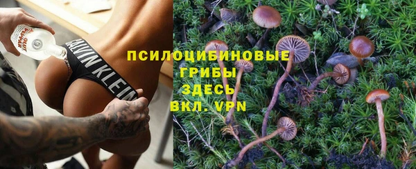стаф Белоозёрский
